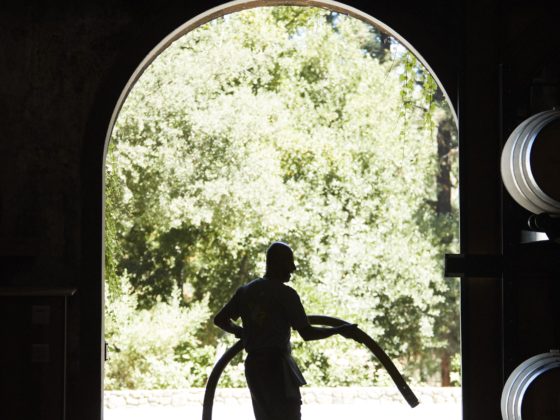 Shadow of a man carrying a hose in the cellar door archway