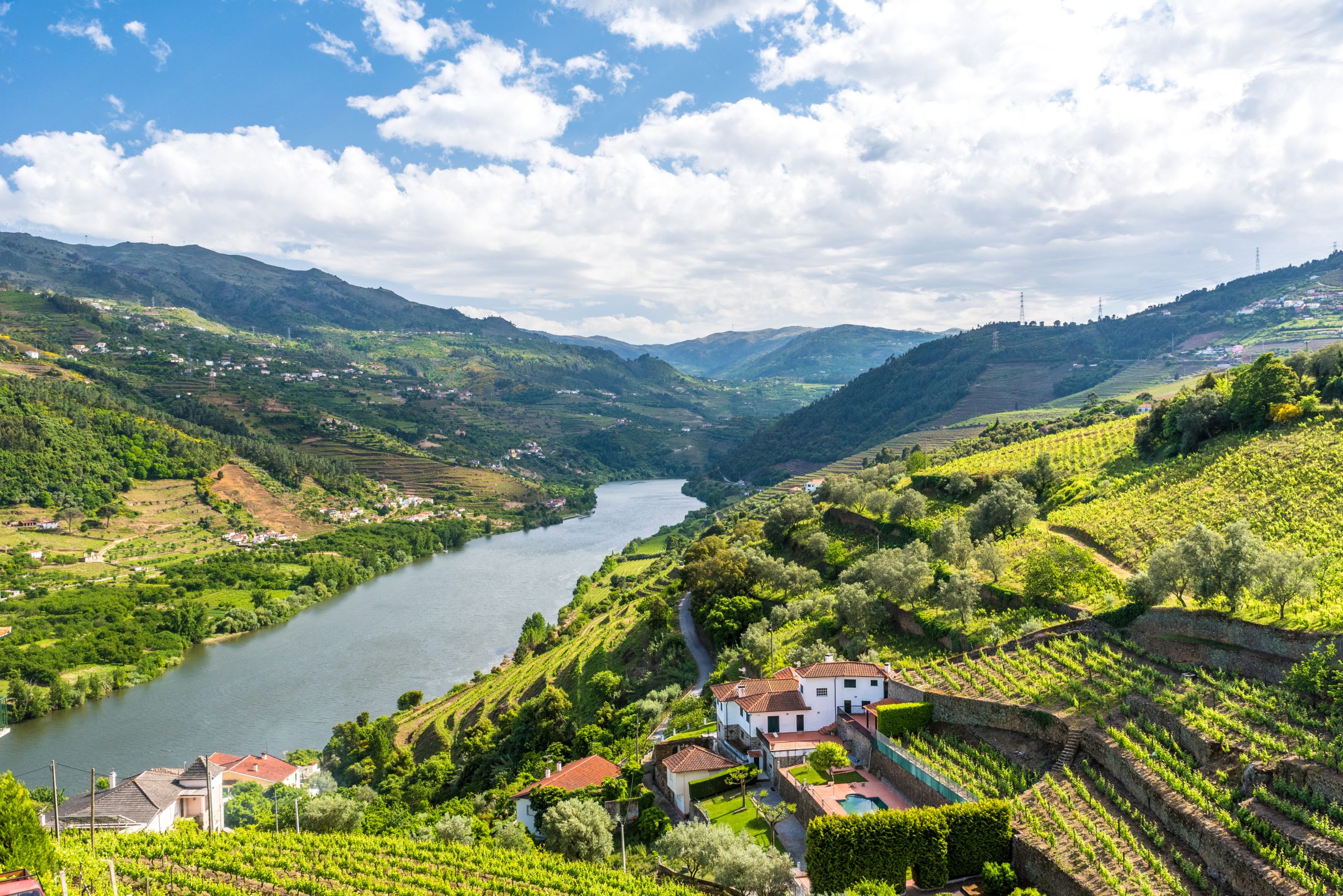 Douro River Valley Cruise with Chateau Montelena